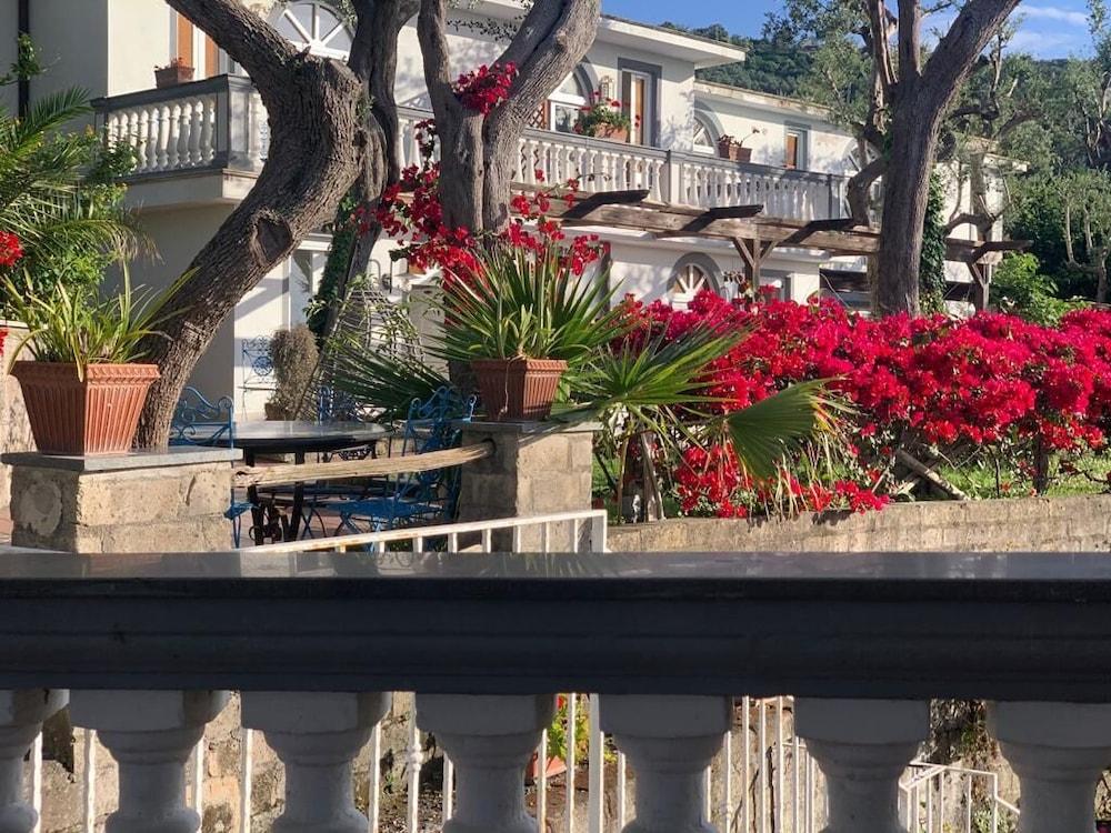 Giovanna Hotel Sorrento